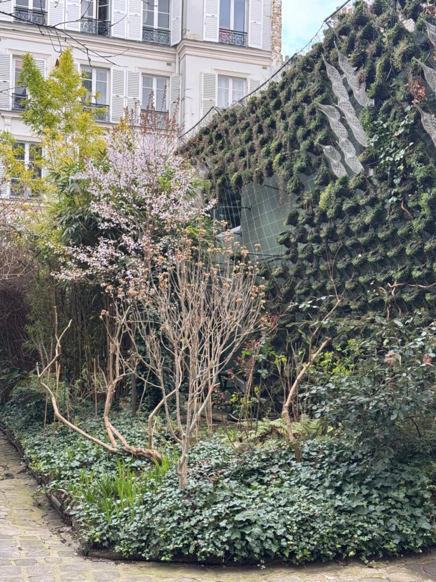 Beautifull Bb In Belleville Bed & Breakfast Parijs